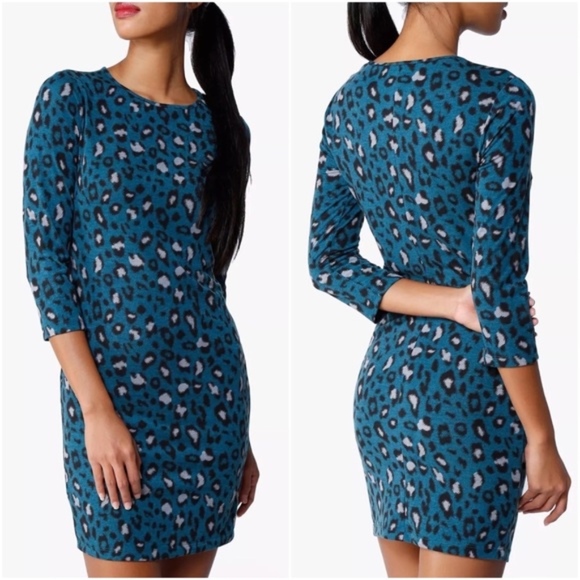 Forever 21 Dresses & Skirts - Forever 21 Blue Leopard 3/4 Sleeve Sweater Dress